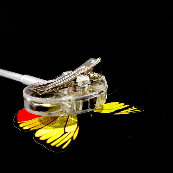 A butterfly with yellow wings and black and red accents perched on a reflective black surface connected to a clear robotic arm, much like LED Hair Extensions glowing vibrantly against dark backgrounds.